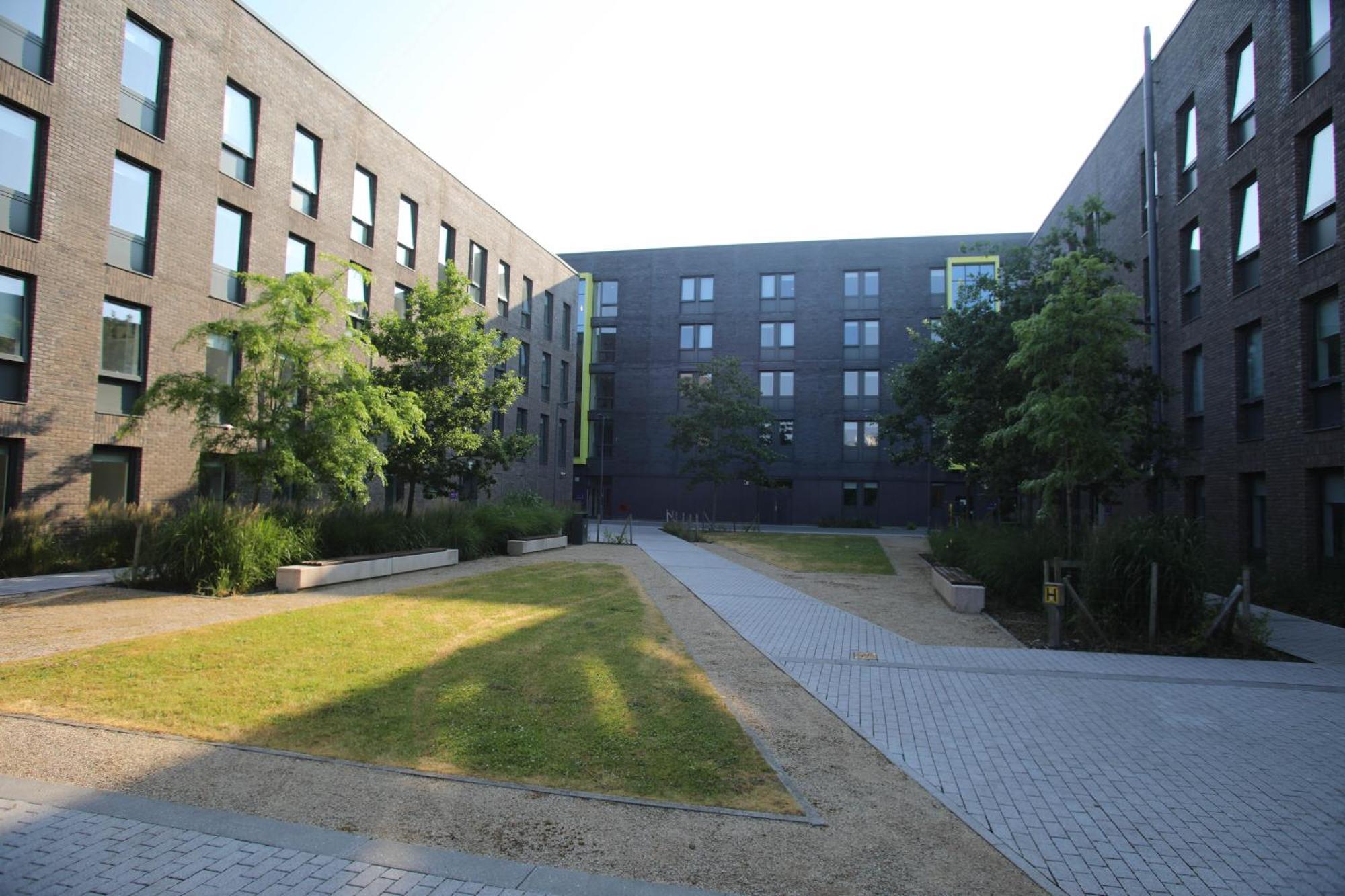 Goldcrest Village Rooms University Of Galway Kültér fotó
