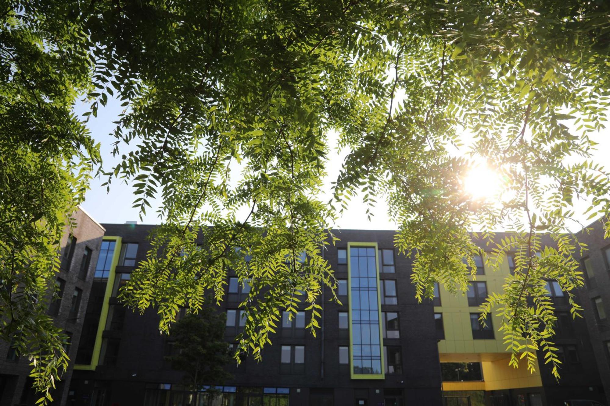 Goldcrest Village Rooms University Of Galway Kültér fotó